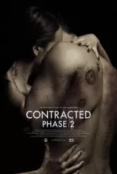 Contracted Phase II