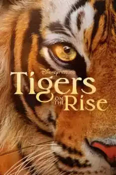 Tigers on the Rise