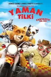 Yaman Tilki