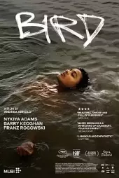 Kuş
